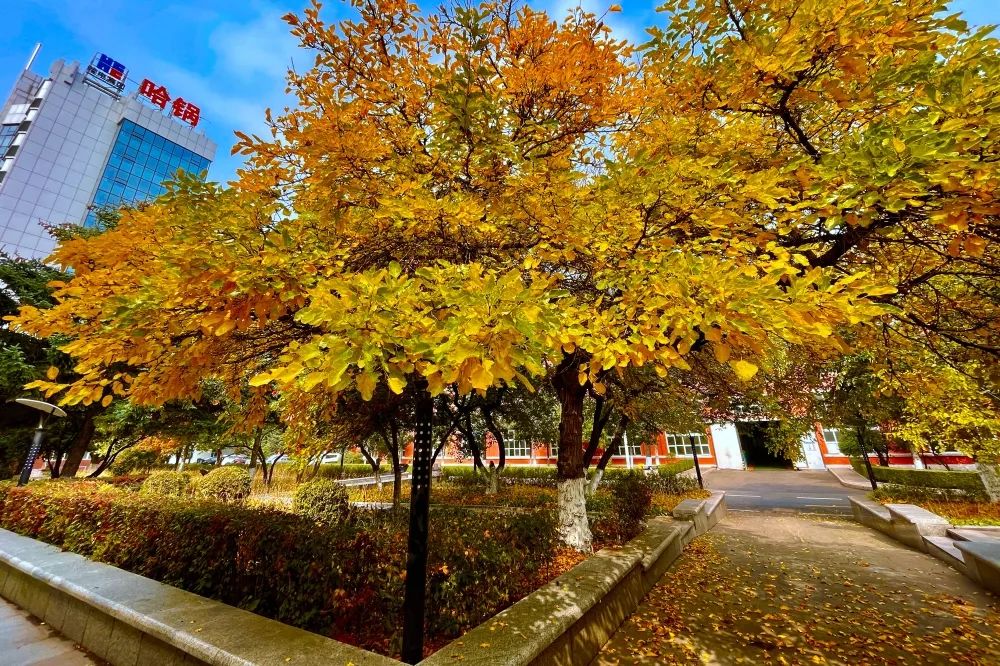 333����-ȫ����ȫ����̬�ȵ���������ֱ��ƽ̨