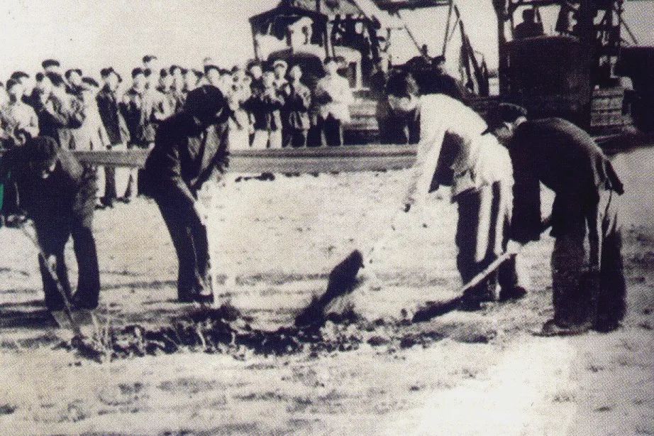 333����-ȫ����ȫ����̬�ȵ���������ֱ��ƽ̨