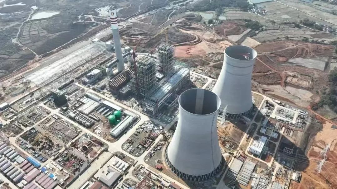 1740553857957058705.jpg 2.jpg